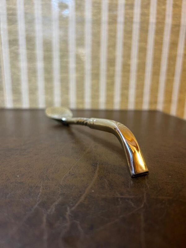 WhatsApp Image 2025-11-01 at 9.37.24 PM Bombilla 100% Alpaca – Modelo Pico Loro