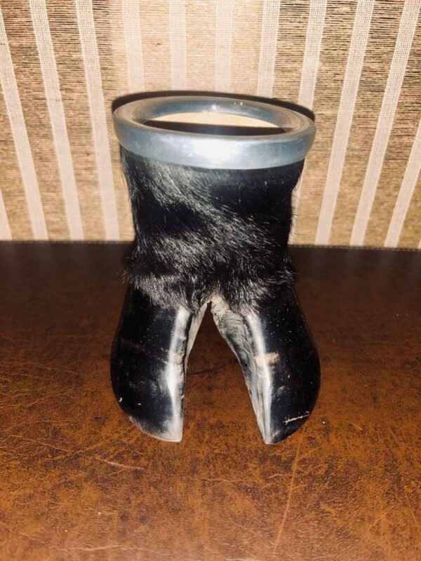 Mate de Pezuña – Interior de Calabaza