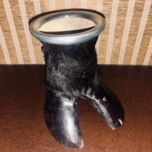 Mate de Pezuña – Interior de Calabaza