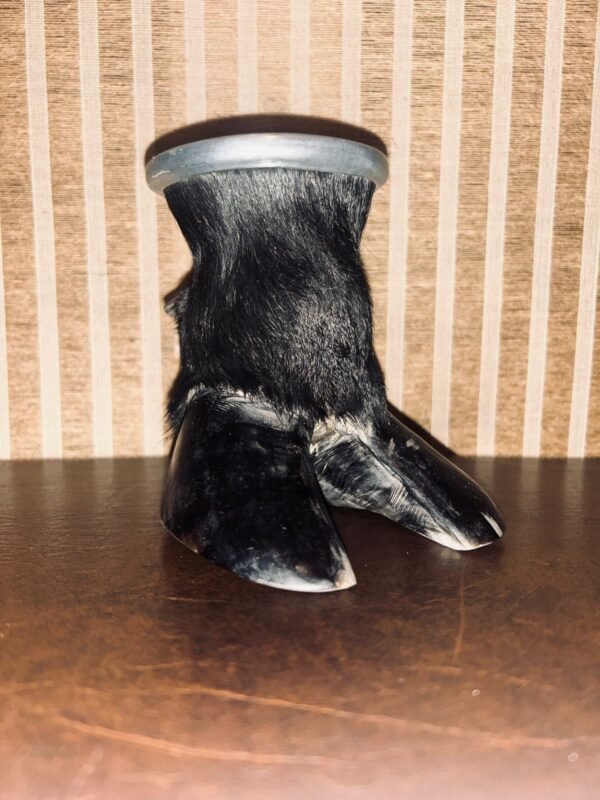 Mate de Pezuña – Interior de Calabaza