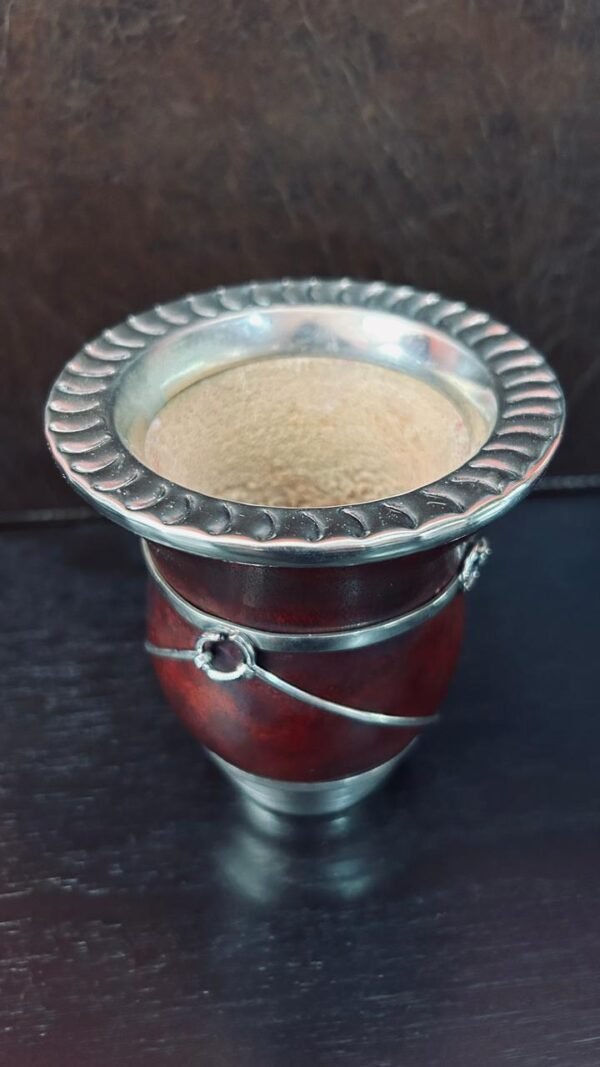 Camionero Criollo Calabaza - Diseño Gaucho