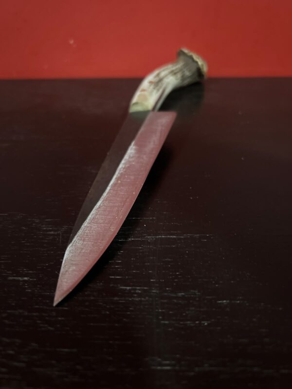 WhatsApp Image 2026-08-25 at 9.05.39 PM Cuchillo Criollo con Mango de Asta Ciervo